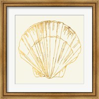 Coastal Breeze Shell Sketches V Fine Art Print