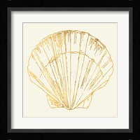 Coastal Breeze Shell Sketches V Fine Art Print