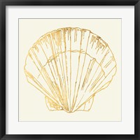 Coastal Breeze Shell Sketches V Framed Print
