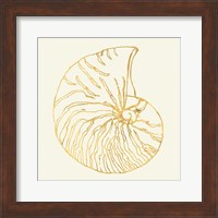 Coastal Breeze Shell Sketches VII Fine Art Print
