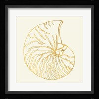 Coastal Breeze Shell Sketches VII Fine Art Print