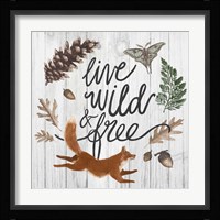 Live Wild and Free Framed Print