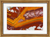 Noreena Jasper Rock Slab Fine Art Print