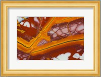 Noreena Jasper Rock Slab Fine Art Print