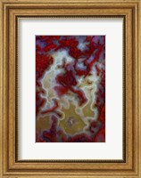 Red Moss Agate Slab Fine Art Print