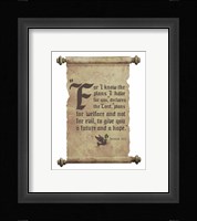Jeremiah 29:11 For I know the Plans I have for You (Dove on Scroll) Fine Art Print