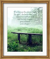 Jeremiah 29:11 For I know the Plans I have for You (Wooden Bench) Fine Art Print