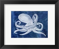 Cephalopod I Fine Art Print