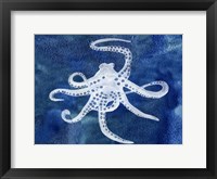 Cephalopod II Framed Print
