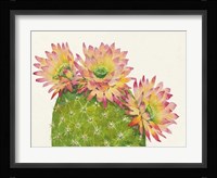 Desert Blossoms I Framed Print