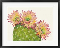 Desert Blossoms I Framed Print