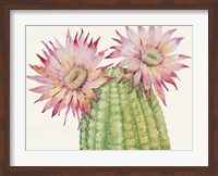 Desert Blossoms II Fine Art Print
