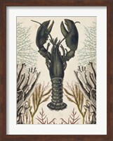 Antiquarian Menagerie - Lobster Fine Art Print