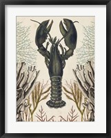 Antiquarian Menagerie - Lobster Fine Art Print