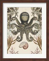 Antiquarian Menagerie - Octopus Fine Art Print