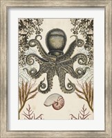 Antiquarian Menagerie - Octopus Fine Art Print