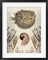 Antiquarian Menagerie - Puffer Fish Fine Art Print