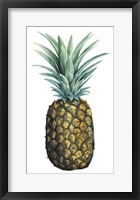 Watercolor Pineapple I Fine Art Print