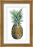 Watercolor Pineapple II Fine Art Print