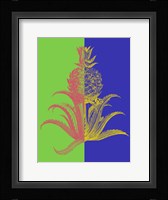 Pineapple Mix I Framed Print