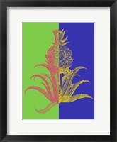 Pineapple Mix I Framed Print