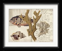Sealife Journal I Fine Art Print