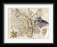 Sealife Journal IV Fine Art Print