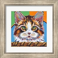 Kitten in Basket II Fine Art Print