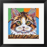 Kitten in Basket II Fine Art Print