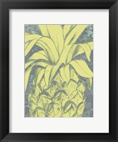 Kona Pineapple I Fine Art Print