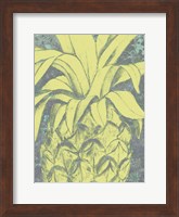 Kona Pineapple I Fine Art Print