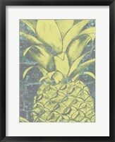 Kona Pineapple II Fine Art Print