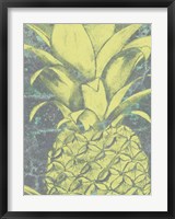 Kona Pineapple II Fine Art Print