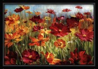 Cosmos In The Field Fine Art Print