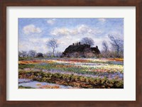 Tulip Fields at Sassenheim Fine Art Print
