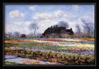 Tulip Fields at Sassenheim Fine Art Print