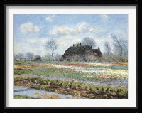 Tulip Fields at Sassenheim Fine Art Print