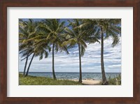 Beach Palms Fine Art Print