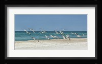 Beach Skimmers Fine Art Print
