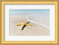 Star Fish Line of Surf Fine Art Print