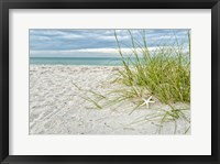 Star Fish and Sea Oats Fine Art Print