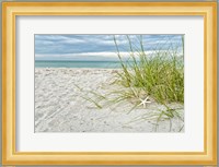 Star Fish and Sea Oats Fine Art Print