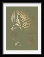 Gold Foil Ferns II on Mid Green - Metallic Foil Fine Art Print
