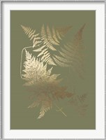 Gold Foil Ferns III on Mid Green - Metallic Foil Fine Art Print