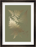 Gold Foil Ferns III on Mid Green - Metallic Foil Fine Art Print