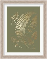 Gold Foil Ferns IV on Mid Green - Metallic Foil Fine Art Print