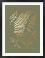 Gold Foil Ferns IV on Mid Green - Metallic Foil Fine Art Print