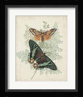 Butterflies & Ferns I Fine Art Print