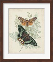 Butterflies & Ferns I Fine Art Print