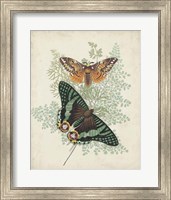Butterflies & Ferns I Fine Art Print